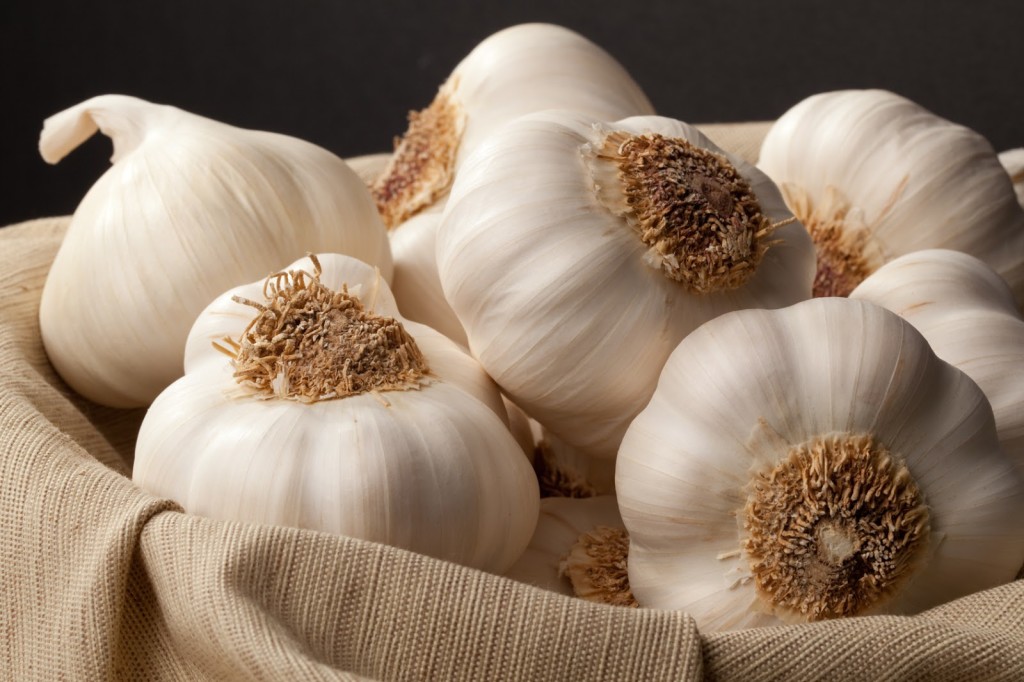 4 Powerful Healing Roles Of Garlic