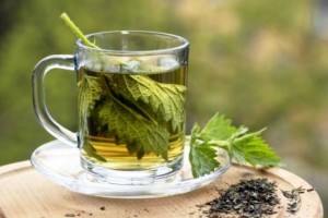 Nettle – Clean Your Body With This Powerful Herb image-1174