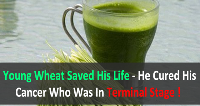 He Cured His Cancer Who Was In Terminal Stage