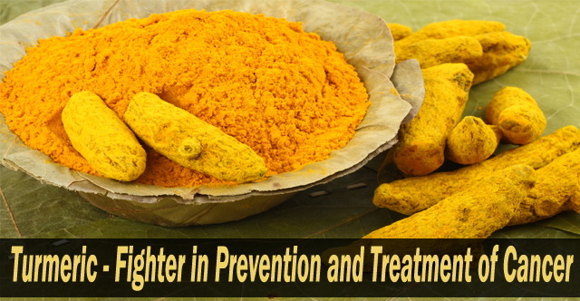 Turmeric - Fighter in prevention and treatment of cancer