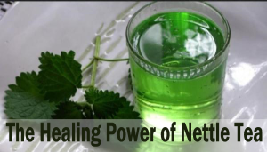 The Healing Power of Nettle Tea image-1779