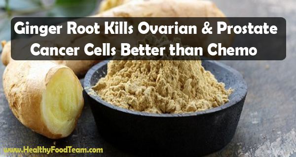 Ginger Root Kills Ovarian & Prostate Cancer Cells Better than Chemo