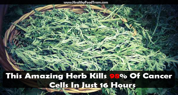 amazing herb kills