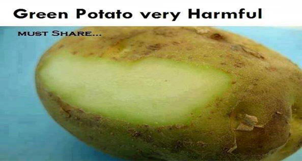 Green Potato Are Very Dangerous For Health, Strictly Avoid This