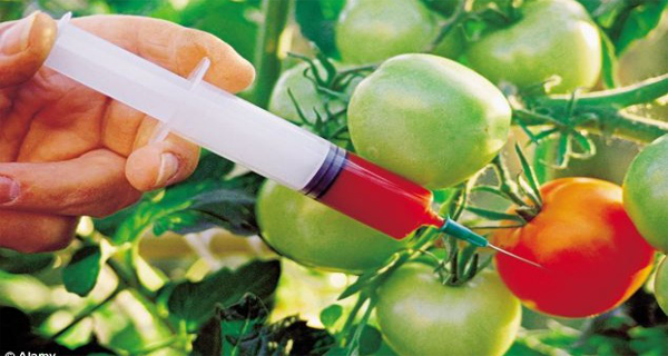 New Study Finds A “Very Strong” Correlation Between GMOs And Two Dozen Diseases