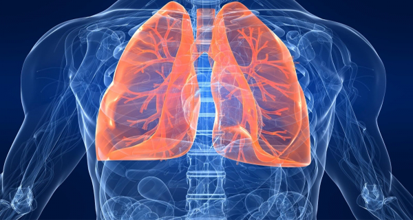 6 Bodily Tissues That Can Be Regenerated Through Nutrition