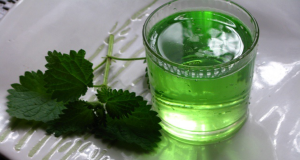 Here is How to Prepare Nettle Syrup: Ideal Remedy for Blood Cleansing image-3594