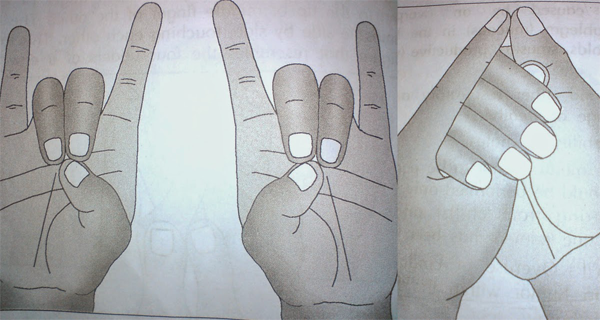 Mudra Therapy Hand Alignments for Holistic Health
