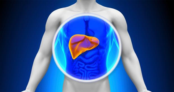 Russian Folk Medicine Recipe Clean the Liver With This Cheap Fruit!
