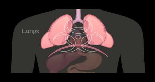 What Happens To Your Body When You Fast (VIDEO)