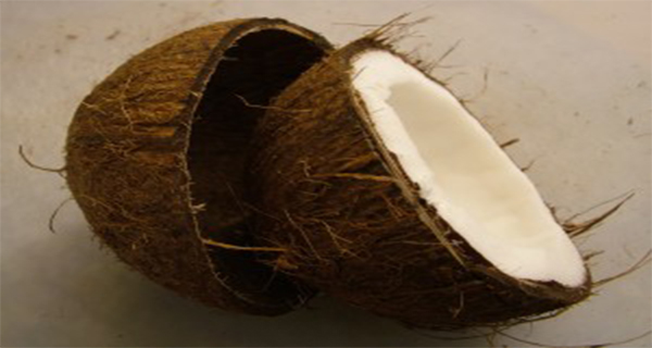 Cracked_coconut-300x225