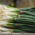Do Not Throw Away The Greens From The Spring Onions! They Have an Amazing Effect on the Health image-4396