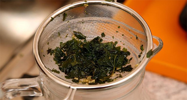 The Miracle of Nature! Did You Know The Medicinal Properties Of Nettle