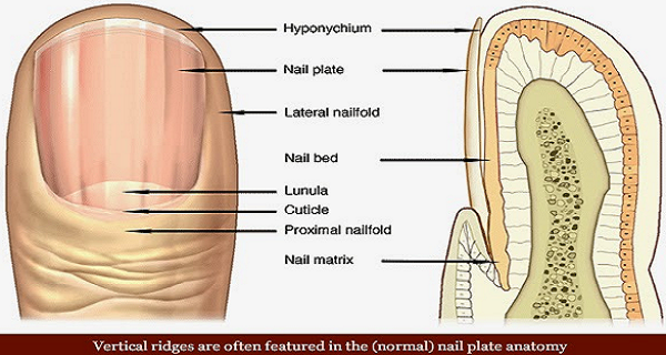 What Your Nails Are Saying About Your Health