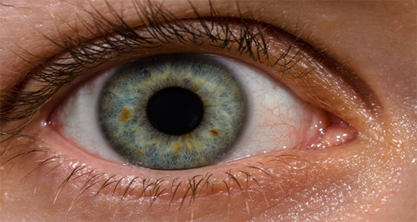 Your Eyes Say A Lot About Your Health Read The Body Language On Time!