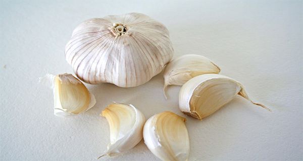 garlic