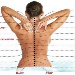 The Real Cause Of Pain – How The Spine Is Connected With All Organs image-5173