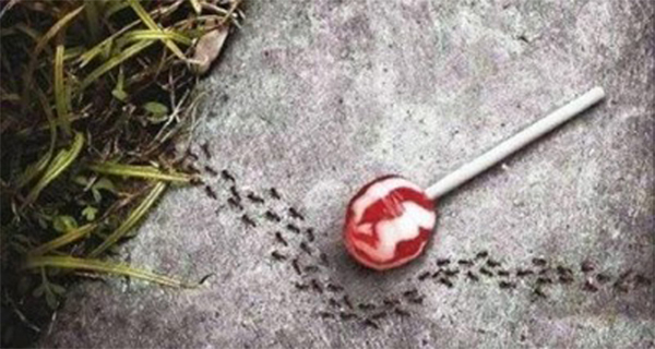 Aspartame Is Made Of GMO Bacteria Feces