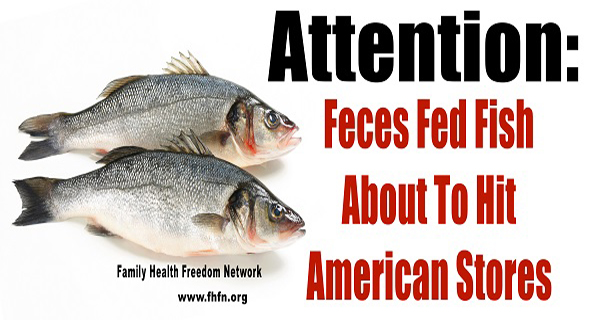Attention Feces Fed Fish About To Hit American Stores