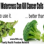 Broccoli and Watercress Can Kill Cancer Cells within a Day image-5510