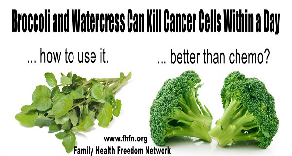 Broccoli and Watercress Can Kill Cancer Cells within a Day