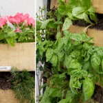 How To Build A Simple Pallet Garden image-6376