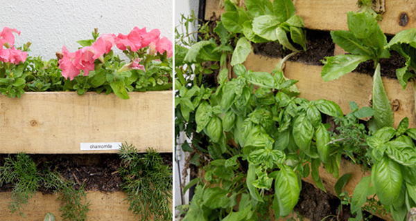 How To Build A Simple Pallet Garden