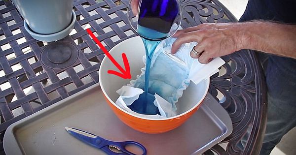 Hydrorichgelfromdiapersusedforgardening