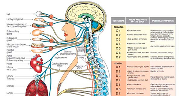 One Simple Exercise Can Cleanse Your Lymphatic System