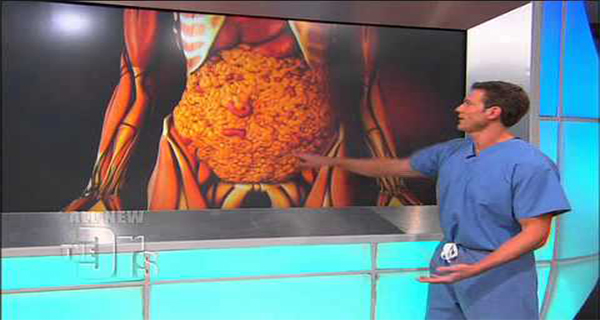 Winning Strategies to Help You Shed Unwanted Belly Fat