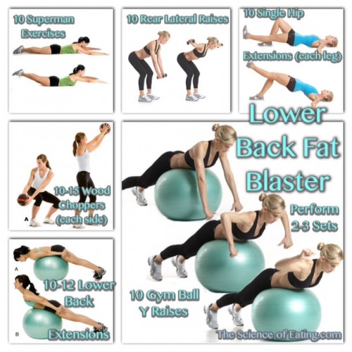 WorkoutLowerBackFatBlaster