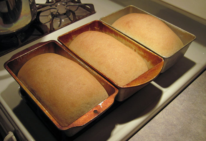 fresh-baked-bread