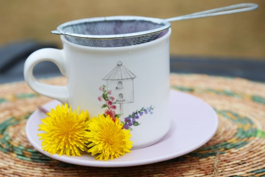Dandelion-The-Plant-100-Times-More-Effective-Than-Chemotherapy-5