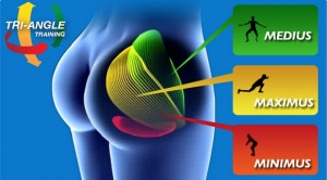 Let’s Bring the Sexy Back: Exercises to Restore Your Gluteal Muscles image-6864