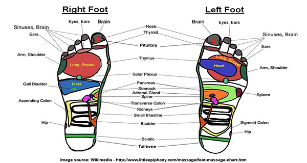 foot