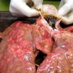 This Is What Happens To Your Lungs After You Smoke 3 Packs Of Cigarettes image-7246