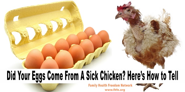 sickchicken