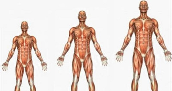 Here Is How To Increase Your Height The Naturally Way!