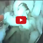 What Happens Inside Your Stomach When You Eat Instant Noodles? image-7702