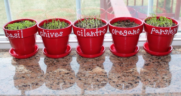 6 Healing Herbs That Are Super Easy To Grow Indoors (And How To Grow Them)