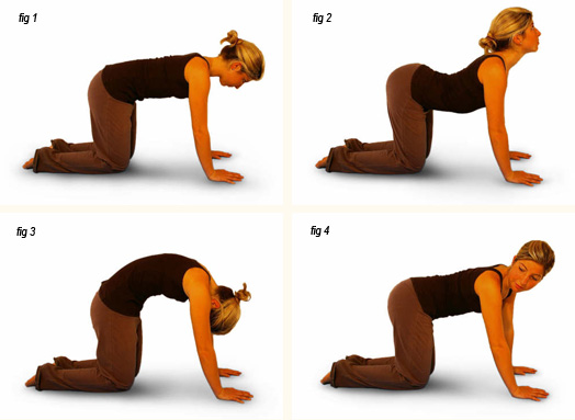 8 EASY YOGA POSES TO RELIEVE SCIATICA PAIN IN 16 MINUTES OR LESS 7