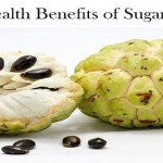 Enjoy the Health Benefits of Sugar Apples by Including Them in Your Diet image-8517