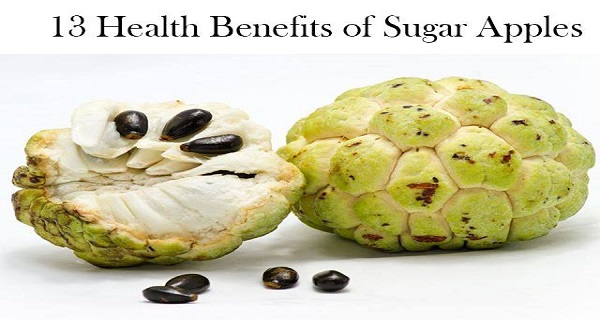 Enjoy the Health Benefits of Sugar Apples by Including Them in Your Diet