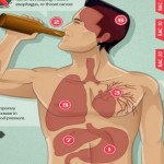The Short- and Long-Term Effects of Alcohol On the Body image-8207