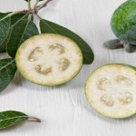 Use Guava Leaves to Beat Wrinkles, Acne, Dark Spots and Skin Allergies (How To Use) image-8534