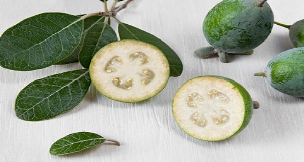 Use-Guava-Leaves-to-Beat-Wrinkles-Acne-Dark-spots-and-Skin-Allergies
