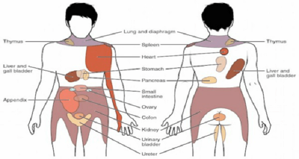 7 Pains You Should Never Ever Ignore