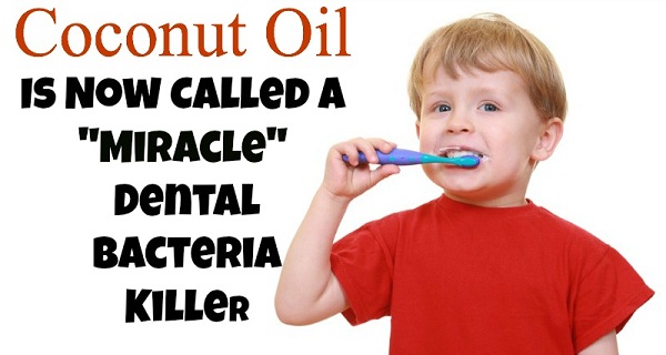 Coconut oil is now called a “Miracle” Dental Bacteria Killer