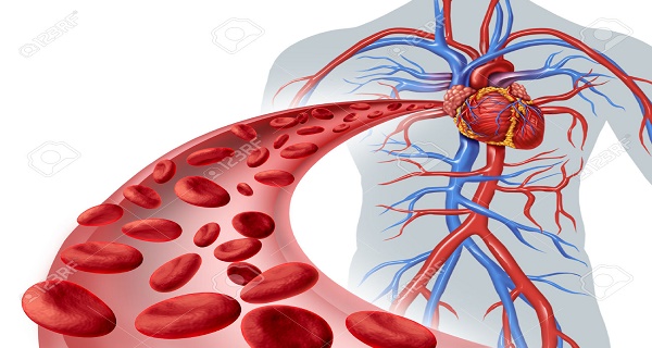 Do-You-Have-Poor-Circulation-Best-Home-Remedies-For-Better-Circulation