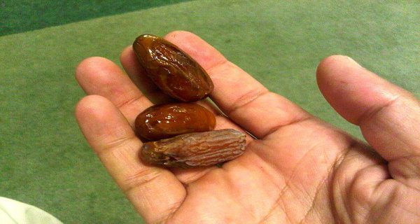 She-Ate-3-Dates-for-12-days
